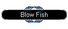 Blow Fish